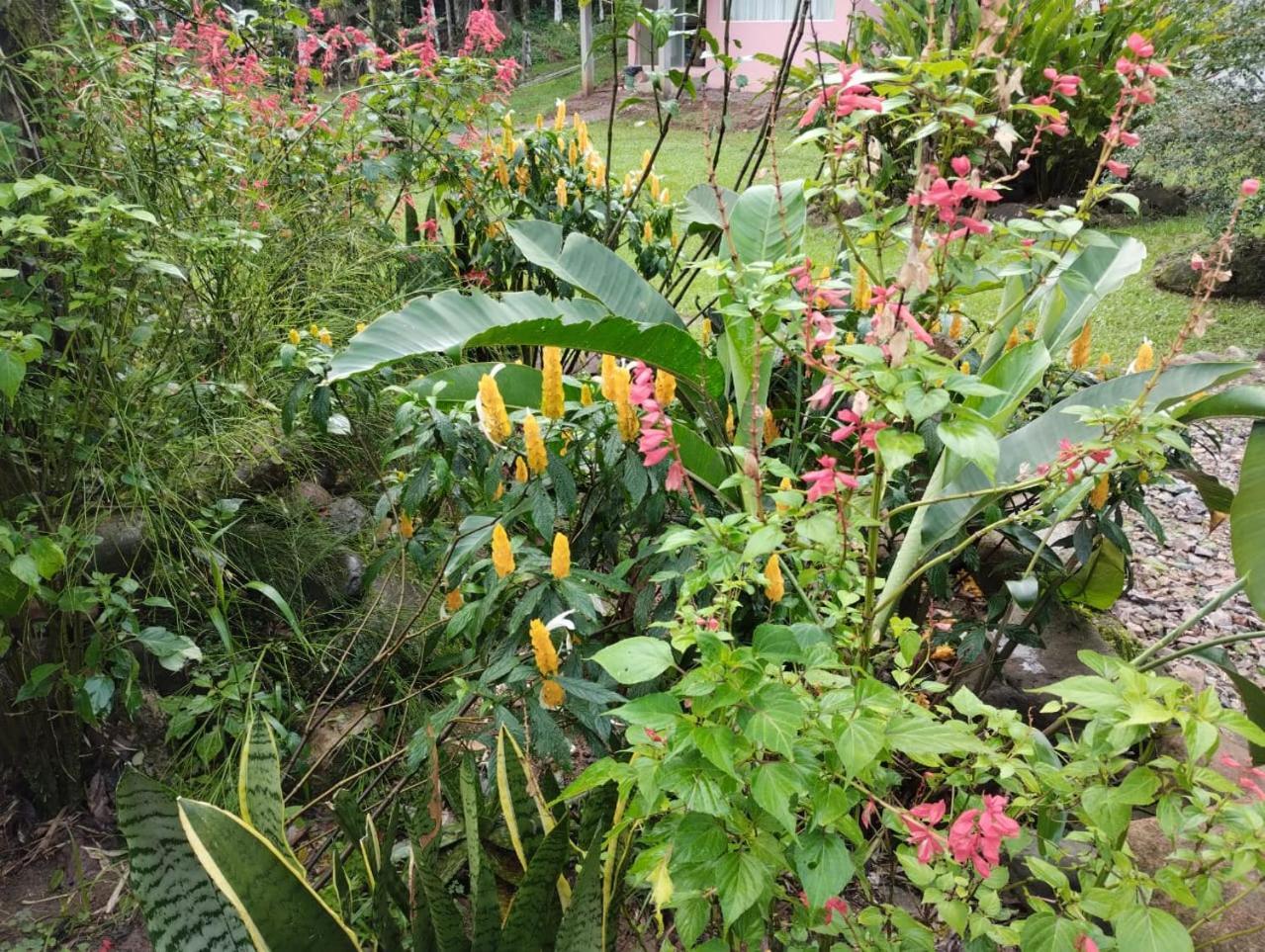 Pousada Morretes Arraial Ngoại thất bức ảnh