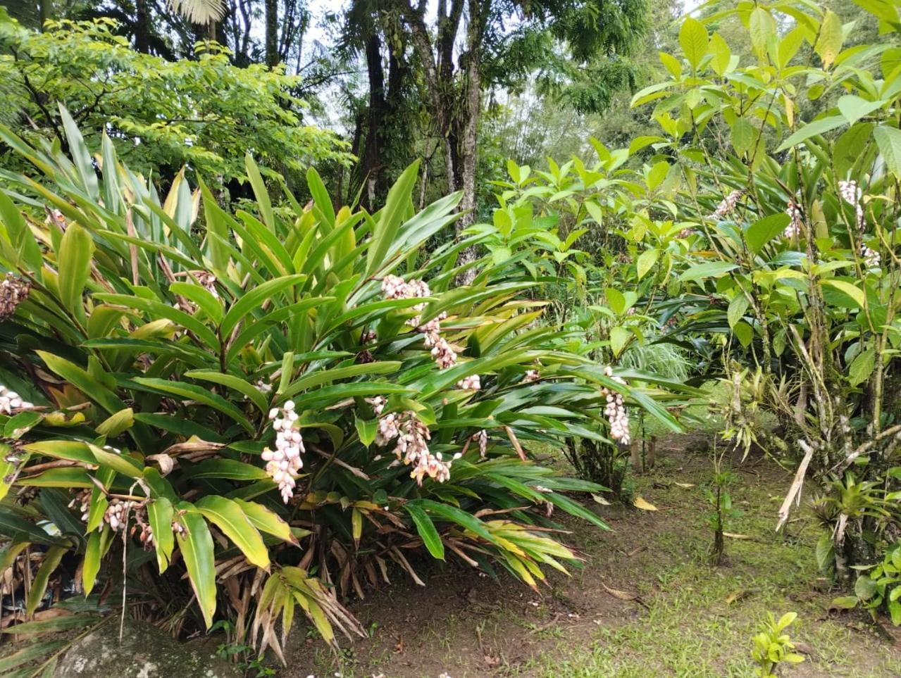 Pousada Morretes Arraial Ngoại thất bức ảnh