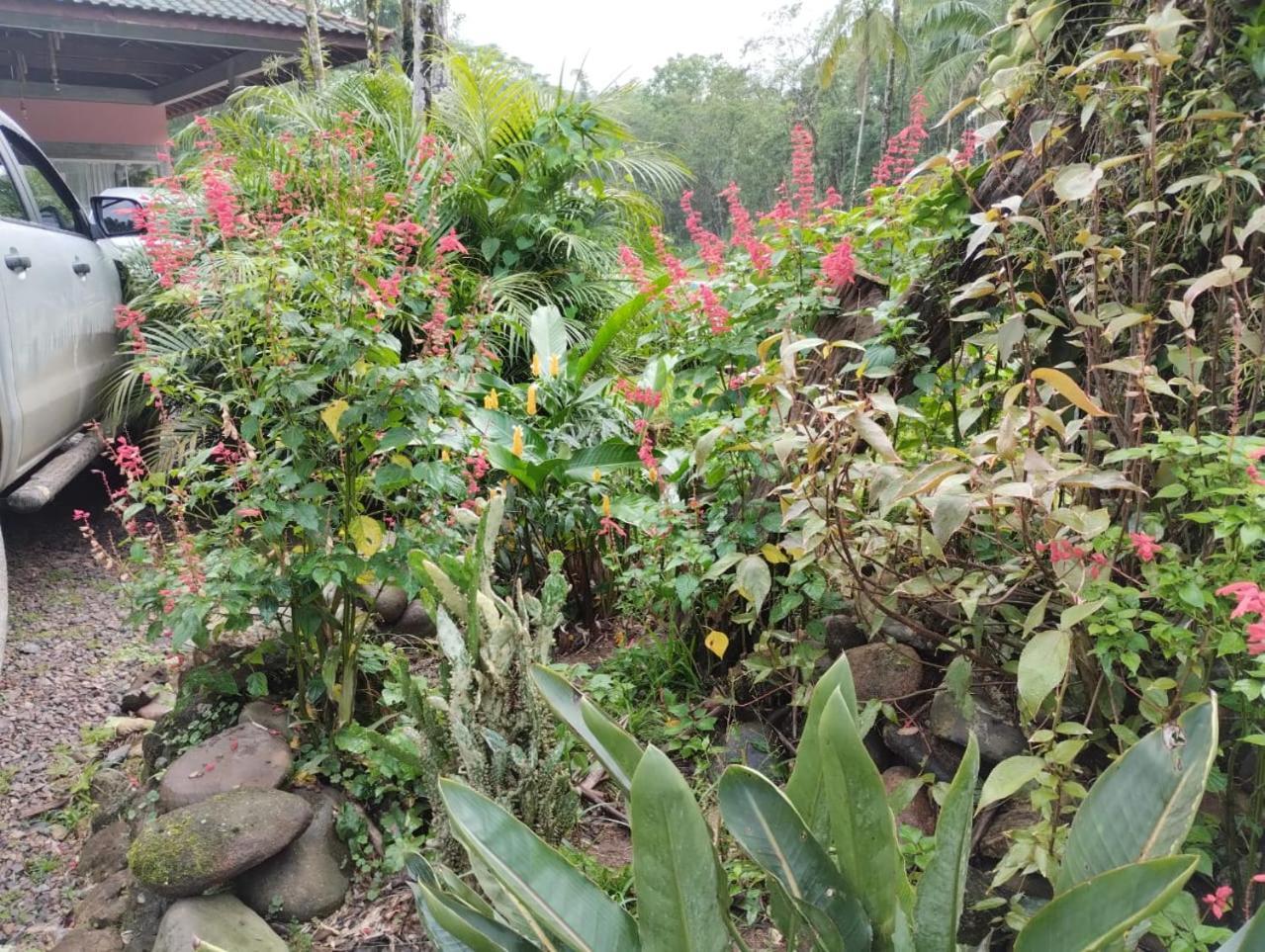 Pousada Morretes Arraial Ngoại thất bức ảnh
