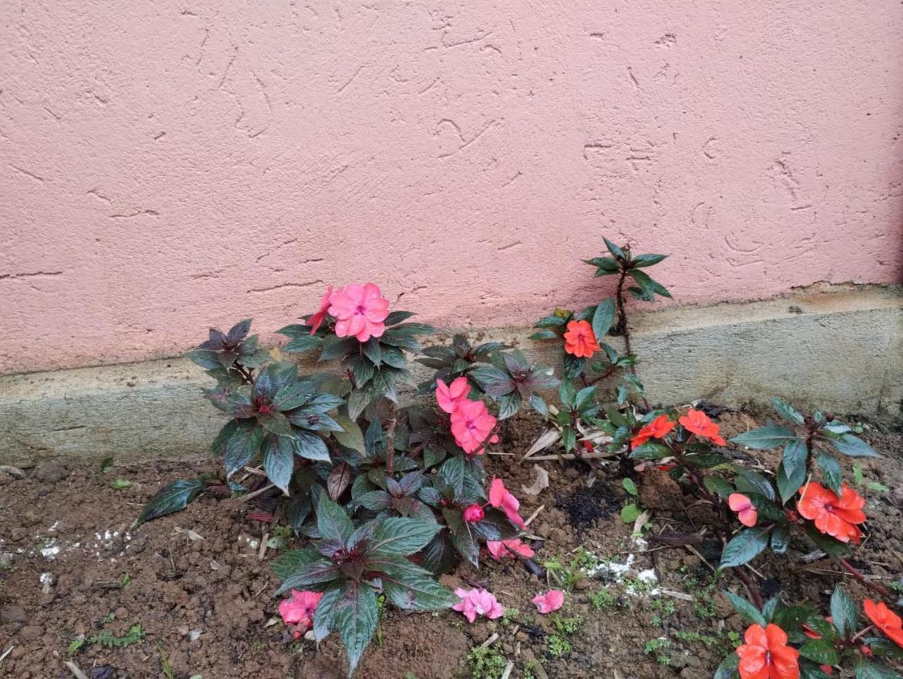 Pousada Morretes Arraial Ngoại thất bức ảnh