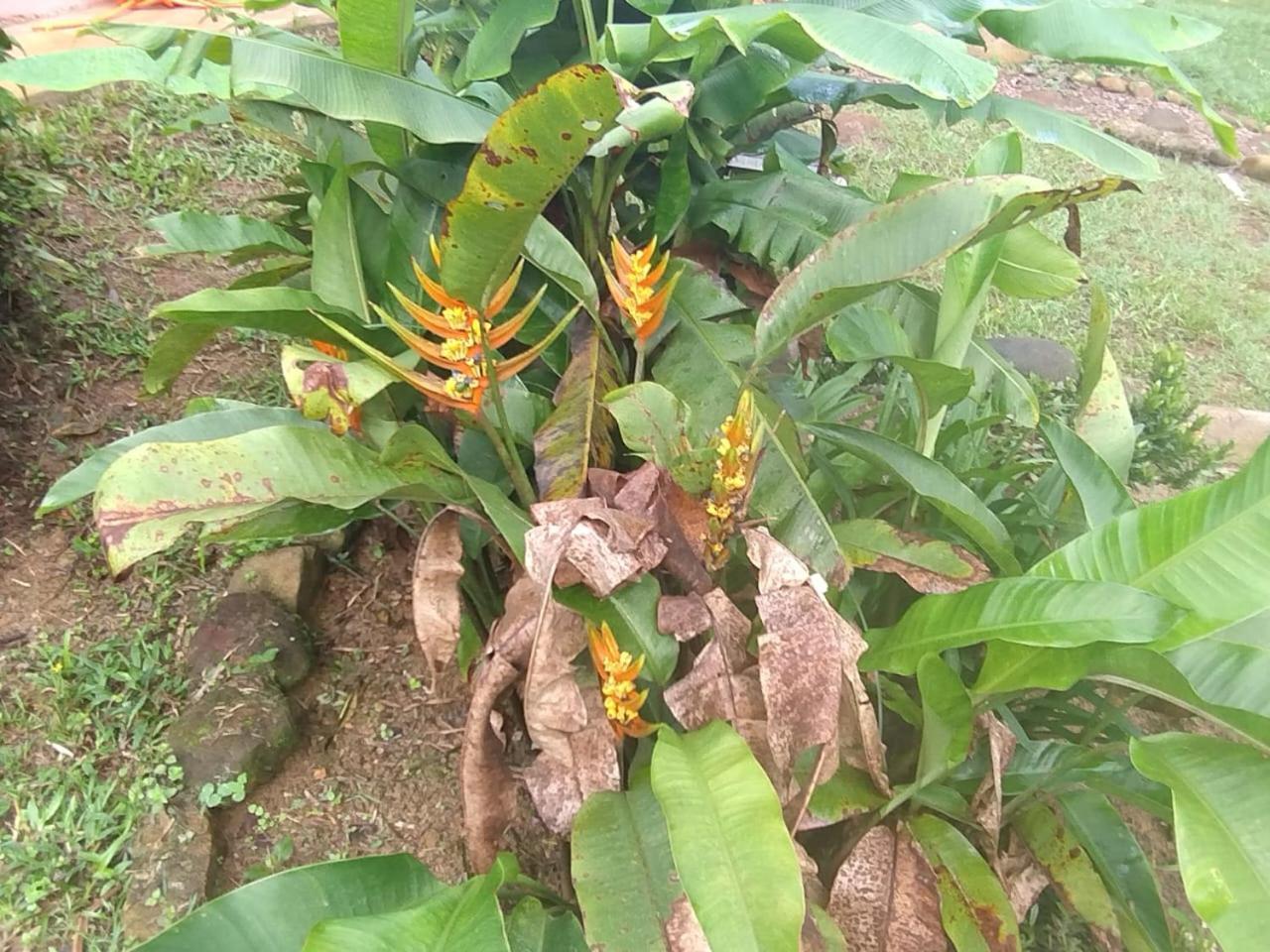 Pousada Morretes Arraial Ngoại thất bức ảnh