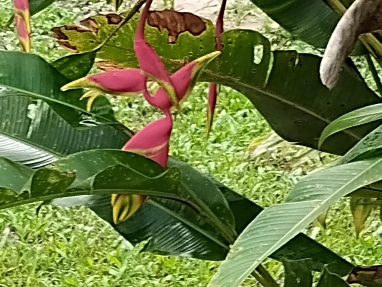 Pousada Morretes Arraial Ngoại thất bức ảnh