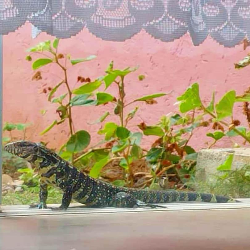 Pousada Morretes Arraial Ngoại thất bức ảnh